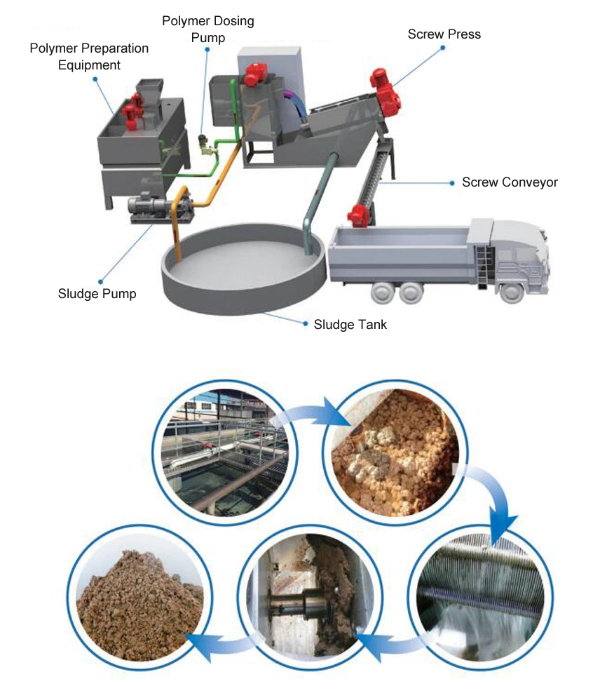 Industrial Waste Water Treatment Automatic Sludge Dewatering Screw Filter Press Supplier