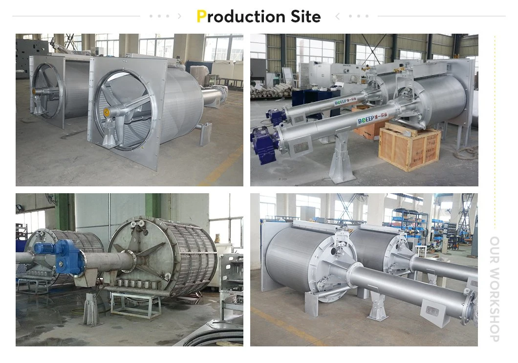 Sewage Treatment Rotary Drum Screen Filter Water Treatment Plant Manufacturers